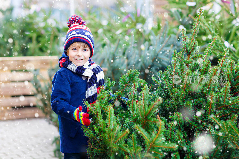 美丽微笑的小男孩抱着圣诞树
