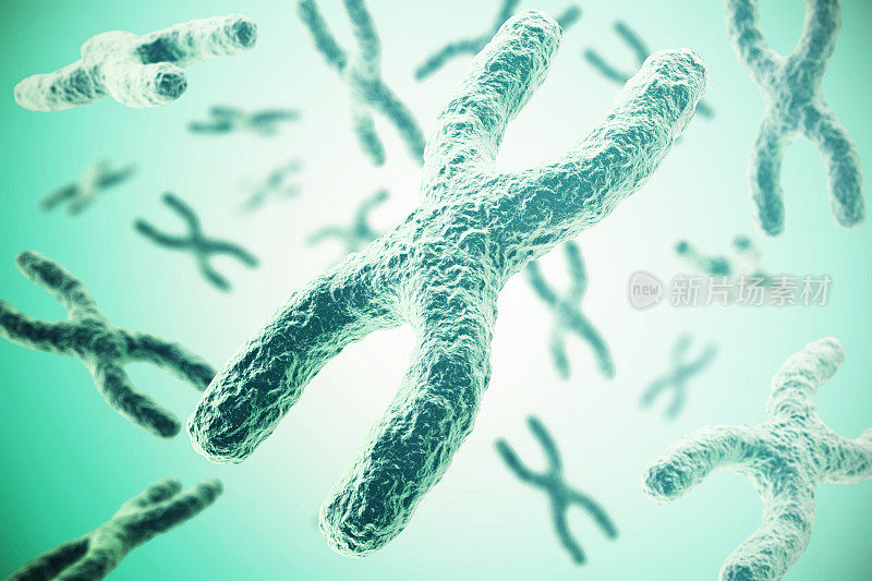染色体绿色背景，科学概念3d插图