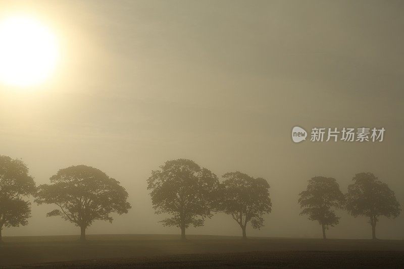 在一个有雾的早晨日出