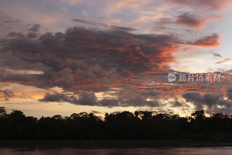 日落在雨林和亚马逊河