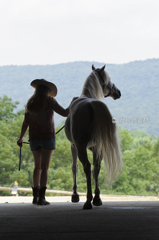 女人和马的剪影在开放的夏季谷仓门