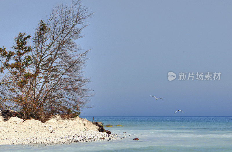 波罗的海海岸线白垩岩的HDR