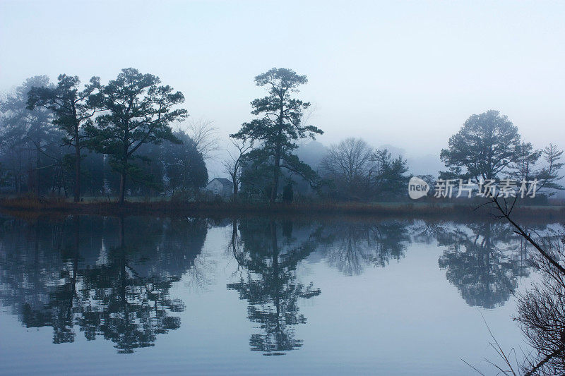 有雾的早晨，水边有树