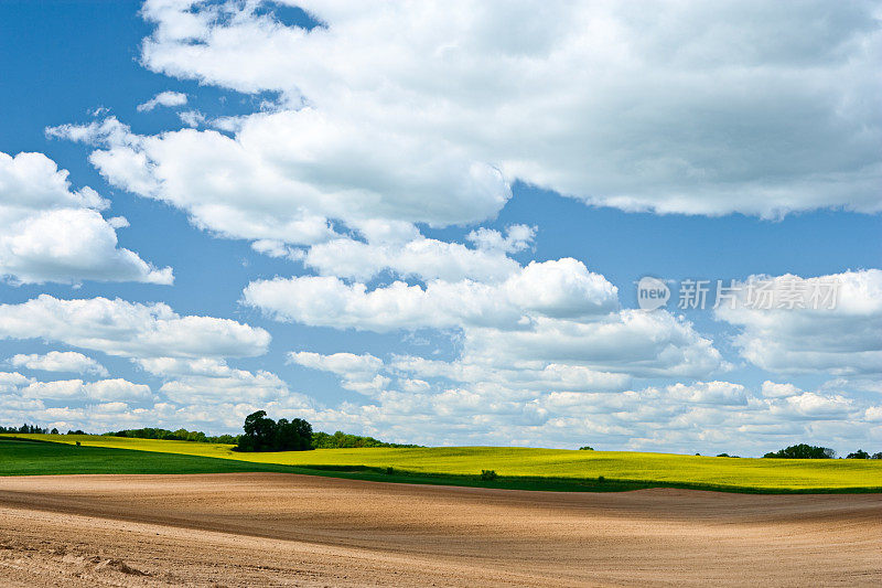 春天的风景