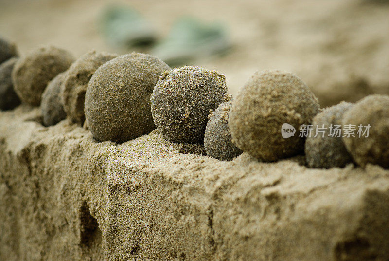 沙滩沙球雕塑