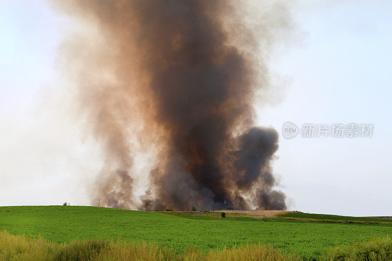 农场布鲁宁