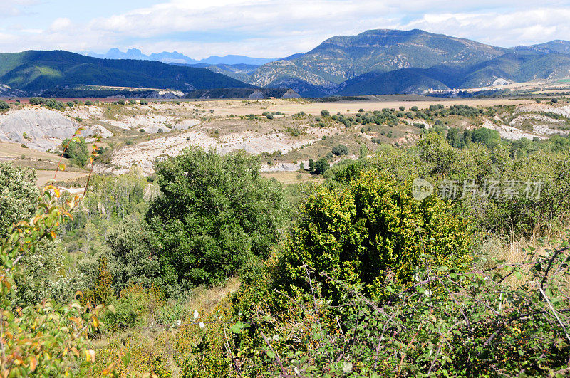西班牙北部有灌木丛和山脉的粗糙景观
