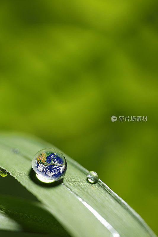 树叶与雨滴-恢复土地的概念