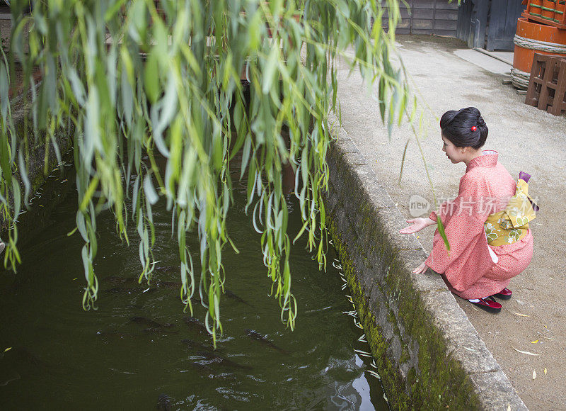 穿着和服的妇女在日本京都的游泳池里看鱼