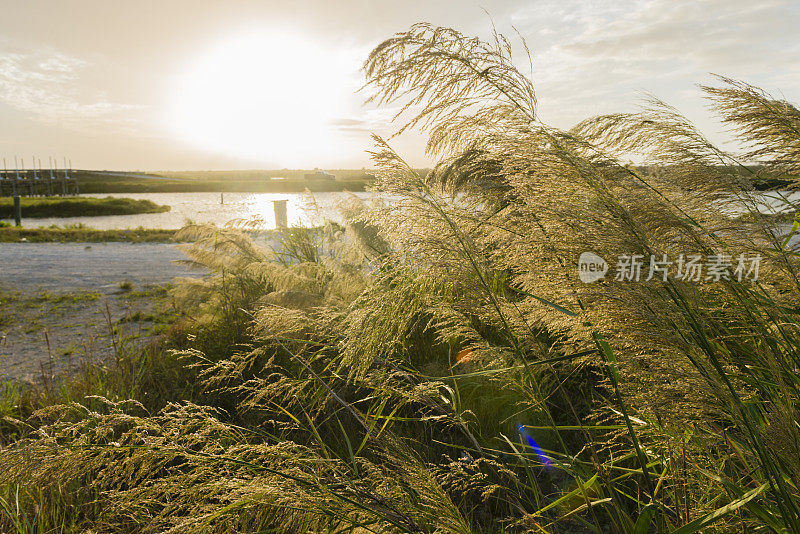 佛罗里达大沼泽地日落景观迈阿密戴德