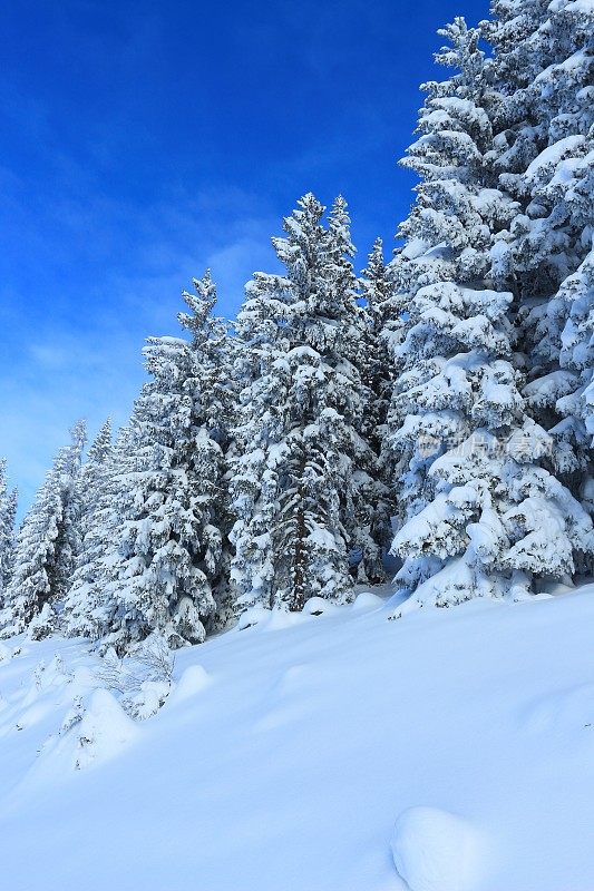 冬季在圣约翰-阿彭多夫Skiamade滑雪胜地