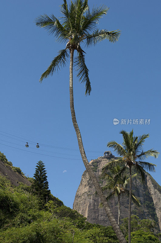 糖面包山