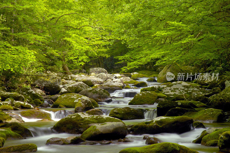 大烟山特里蒙特地区的岩石溪