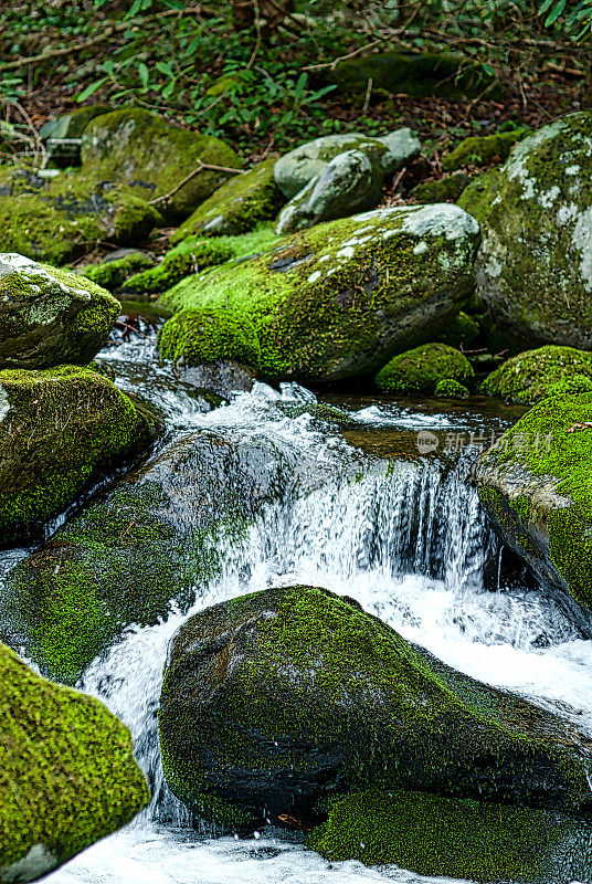 山溪和苔藓覆盖的岩石