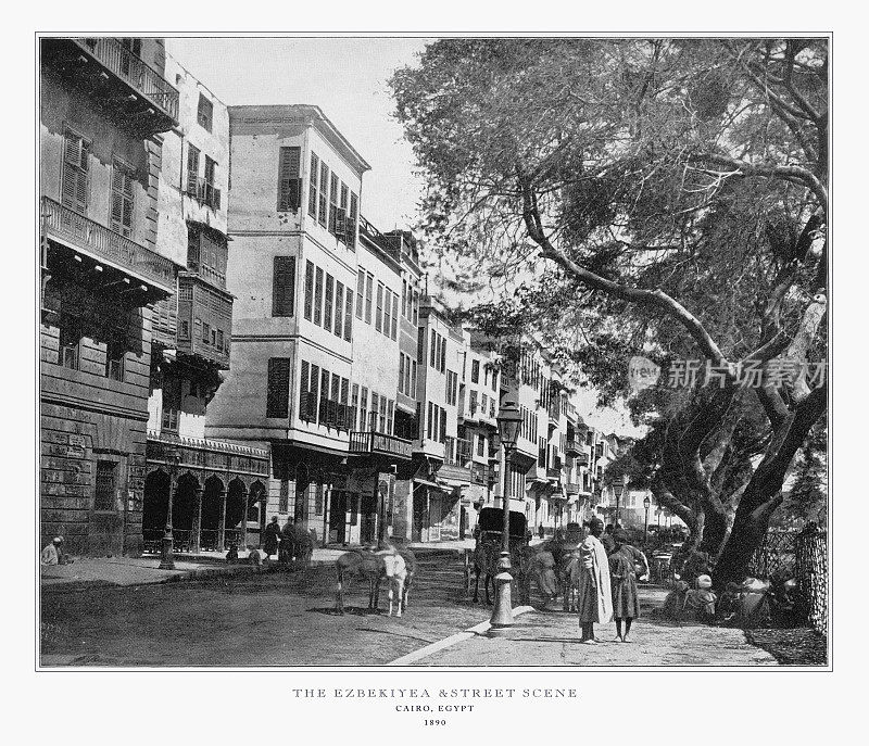 Ezbekiyeh和街景，开罗，埃及，古埃及照片，1893