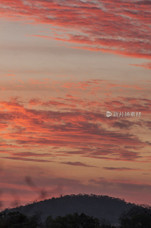 巴西潘塔纳尔湿地上的日落天空