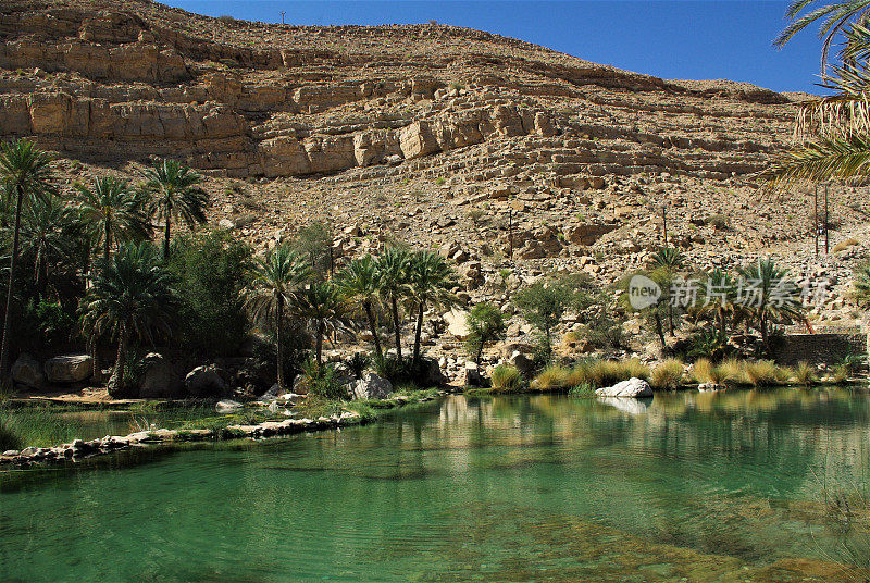 阿拉伯沙漠中的绿洲-阿曼巴尼卡勒德河