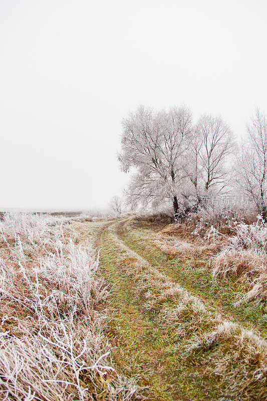 霜冻的早晨结冰的道路