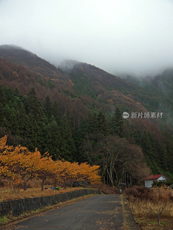 山在雾中