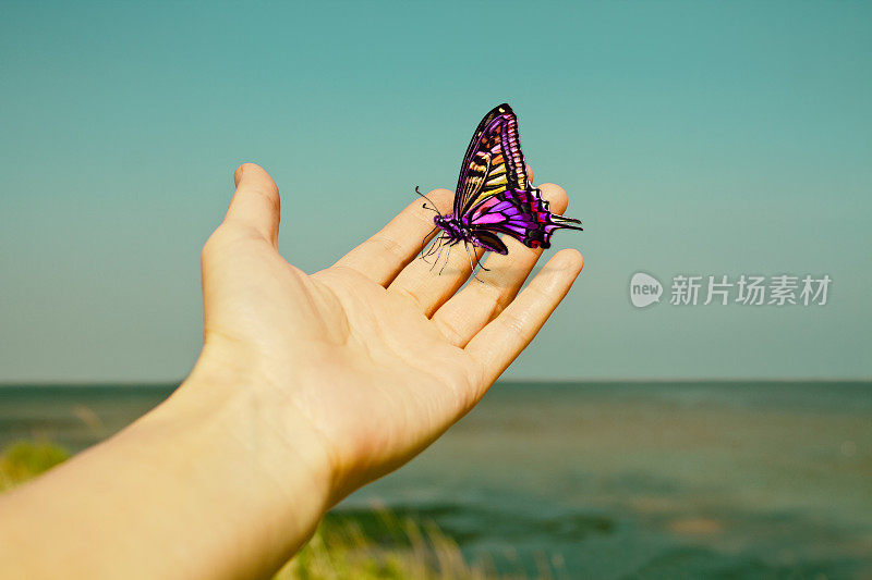 美丽的蝴蝶手在一个古老的背景。