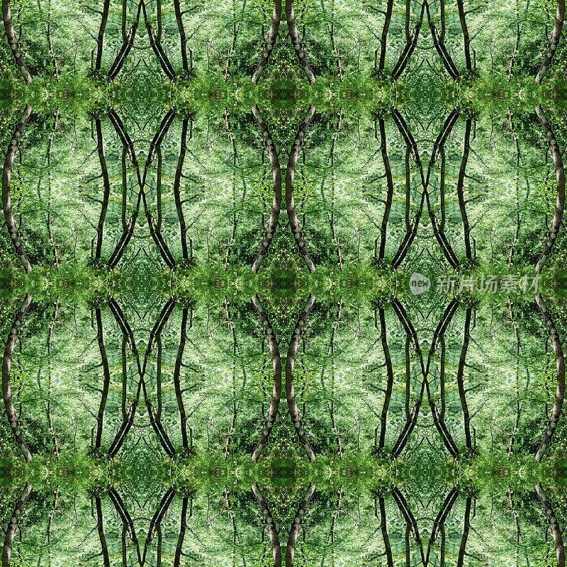 抽象对称镶嵌图案背景:树的自然