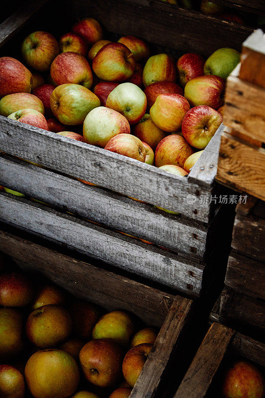 加拉苹果装在木箱里