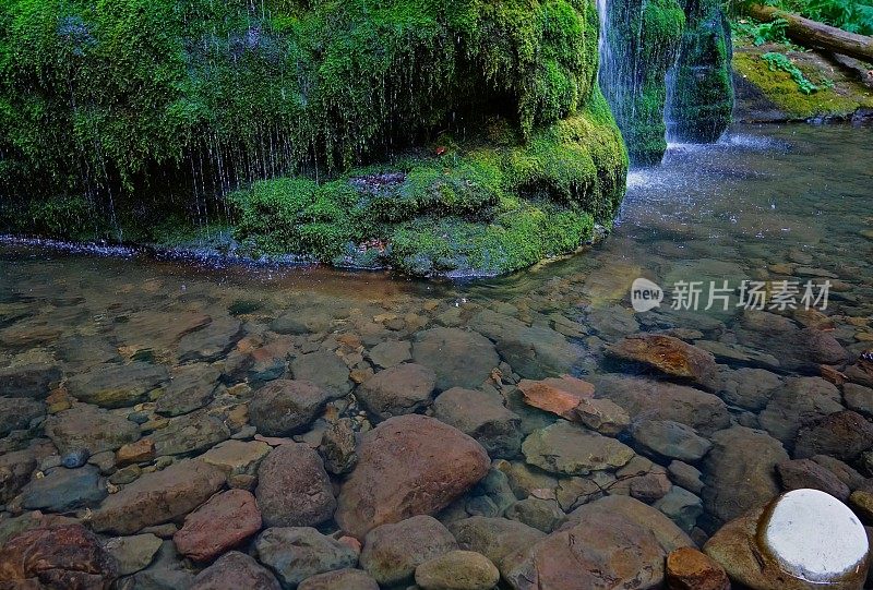 灵溪雨林岩石