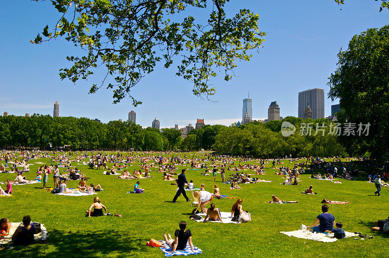 春天，纽约曼哈顿，中央公园羊草地上的日光浴者