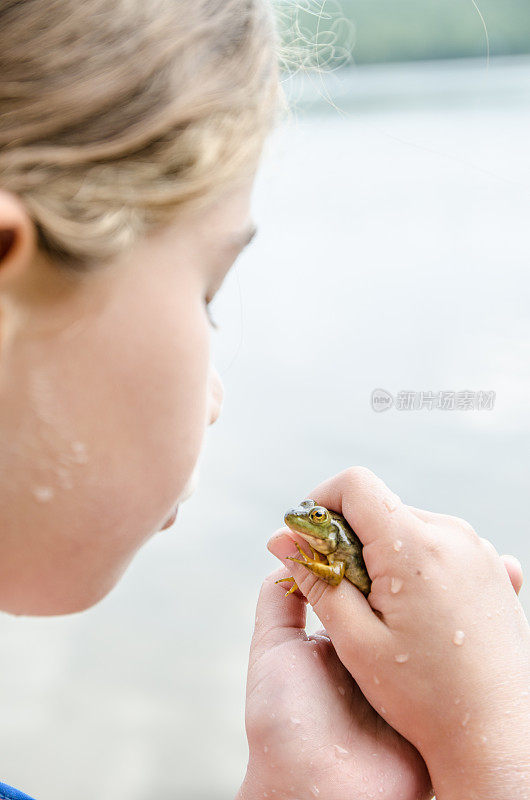 近距离小女孩准备亲吻一个真正的青蛙在户外暑假