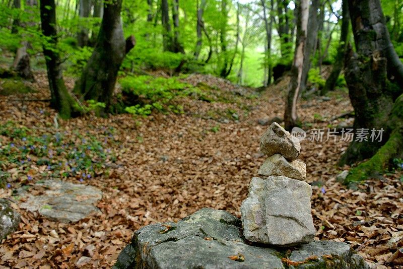 在森林中徒步旅行的小径上堆叠石头