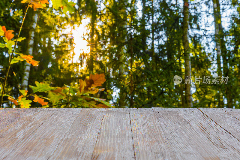 空旷的乡村木材桌面上模糊的森林背景和穿透阳光在夏天。可以蒙太奇或展示您的产品