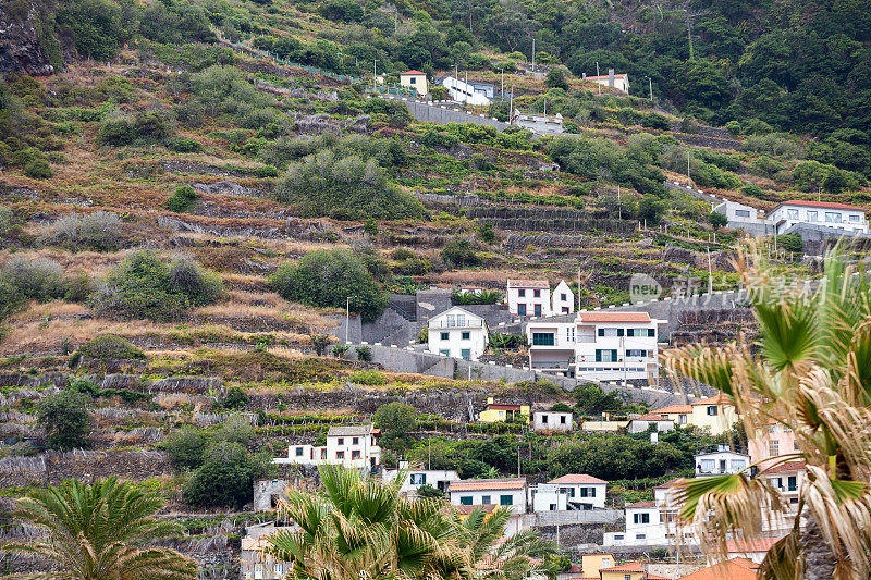 马德拉岛莫尼兹港附近西海岸的农田和房屋。葡萄牙