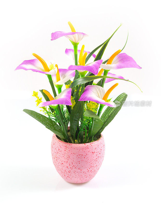 装饰人造花或假花在盆中孤立在白色的背景。