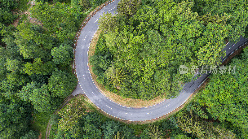 蜿蜒的道路穿过森林