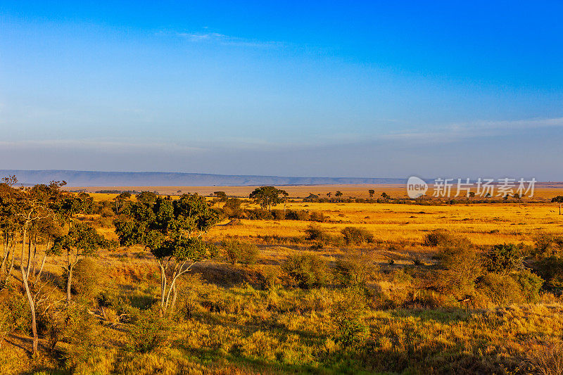 东非肯尼亚的马赛马拉国家保护区，日出时;没有人