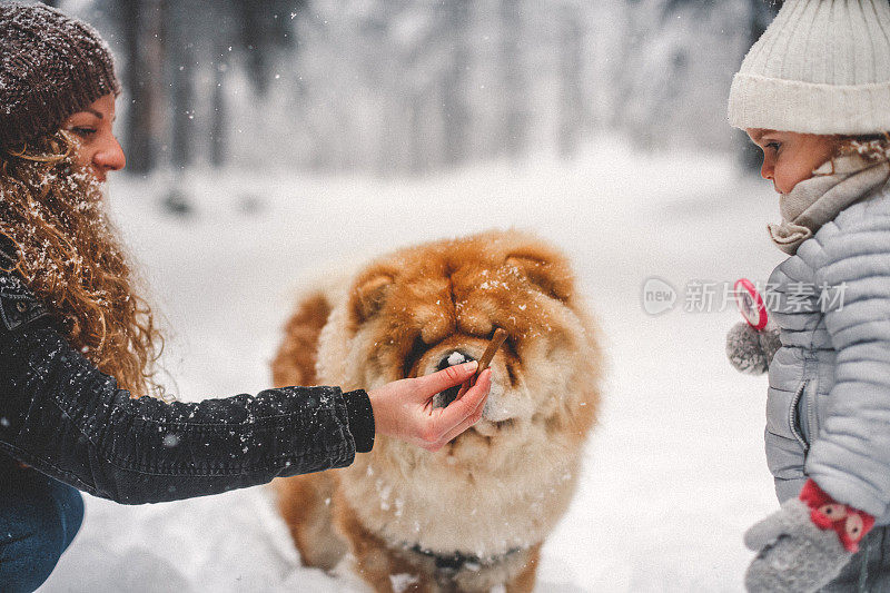 雪中的聚会时间