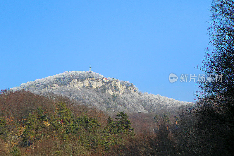 白雪皑皑的山坡上