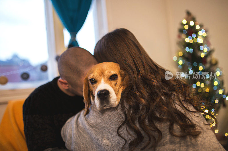 一对夫妇在圣诞节拥抱小猎犬