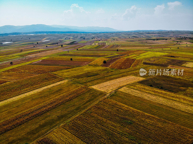 日落时美丽的绿色田野和草地