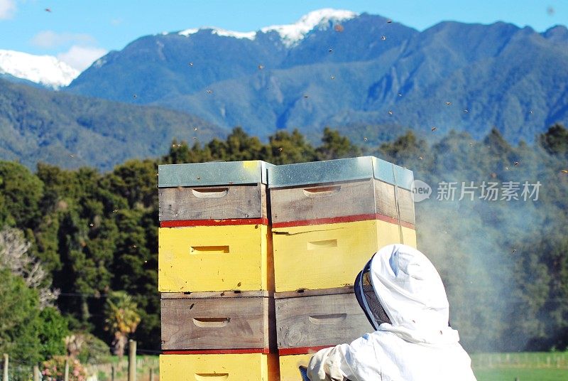 穿着蜜蜂服的孩子在照看他的蜂箱