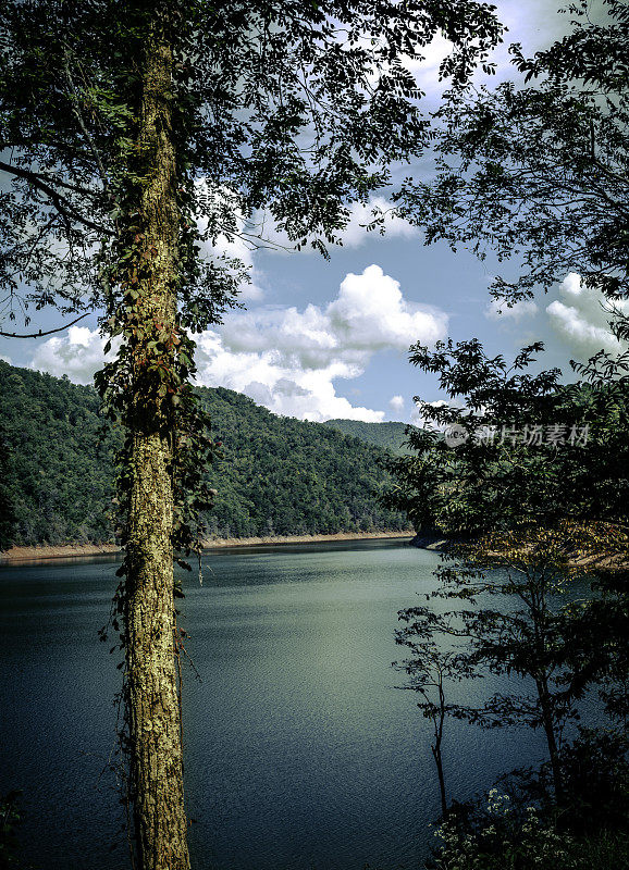 山中湖-丰塔纳湖-大烟山国家公园