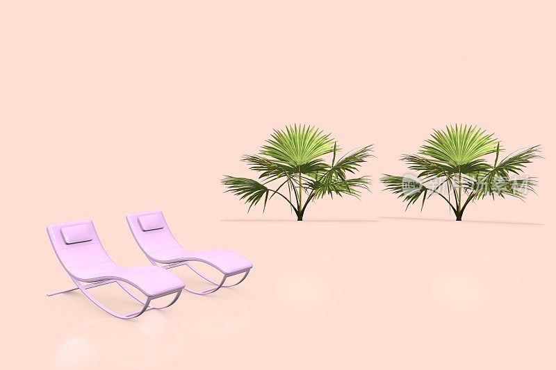 夏天的概念与棕榈树