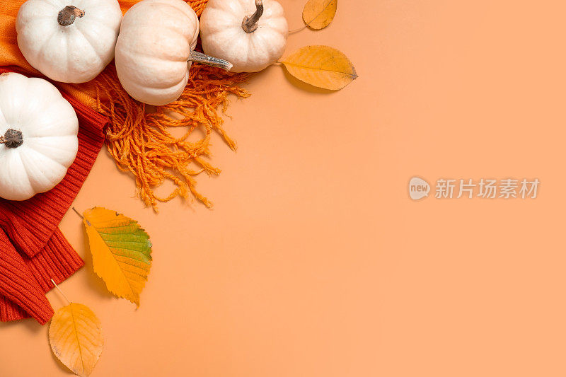 秋天，用南瓜和落叶和毛衣平铺构图，留出文字空间