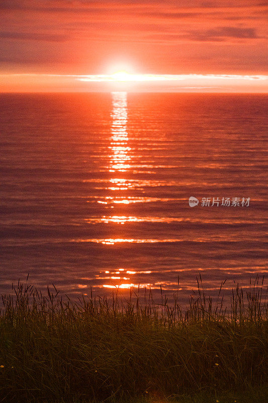 夏天午夜日落在海洋与草地前景北冰岛