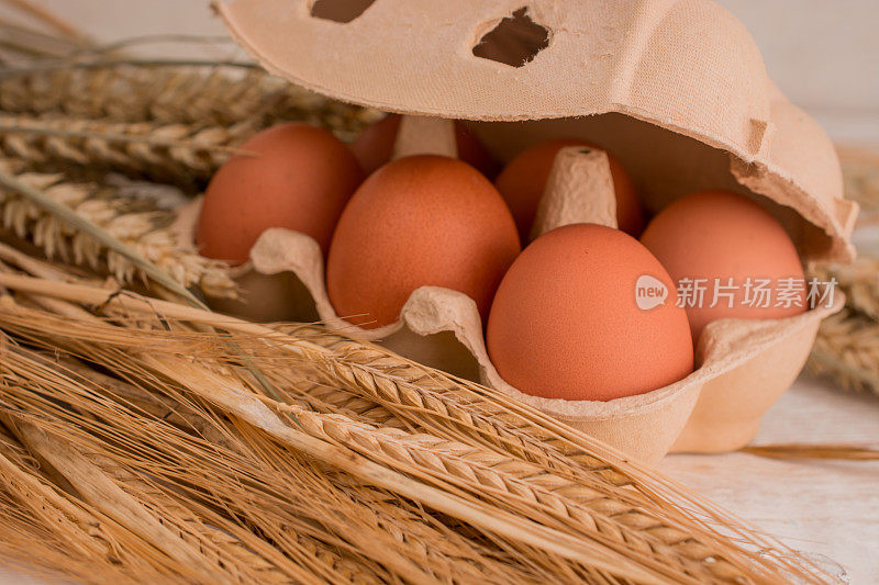 农场新鲜的棕色鸡蛋在木制背景