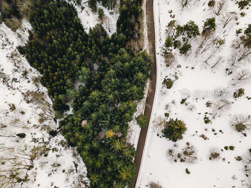 森林中道路的鸟瞰图，两侧有雪