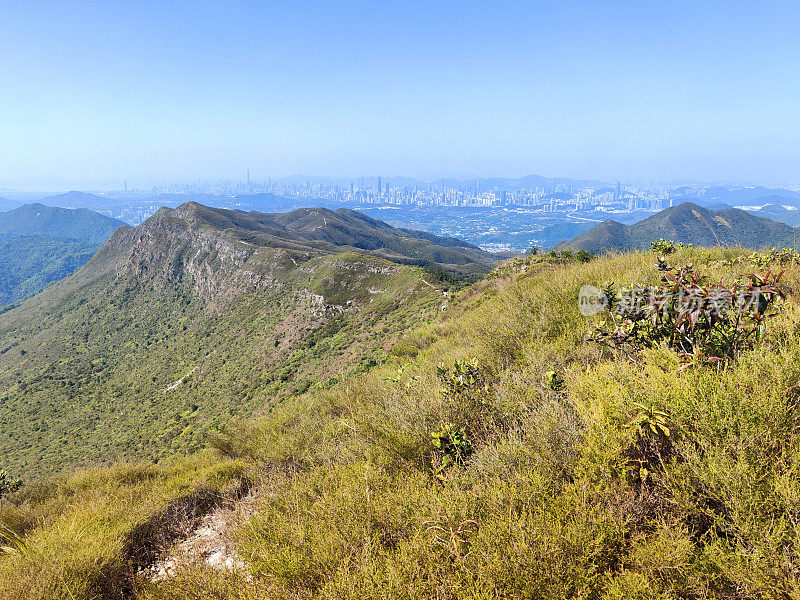 香港八仙岭郊野公园的黄冷山景观