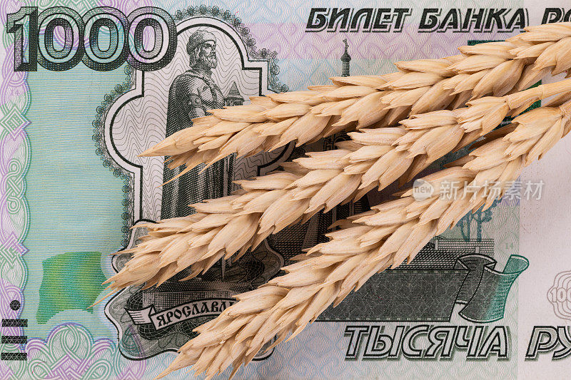 麦穗的背景是一张面额为1000卢布的纸币碎片