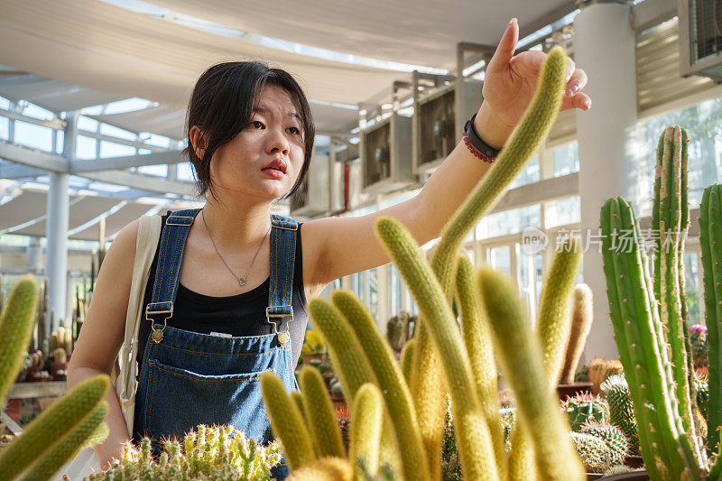 喜欢外来植物的女孩