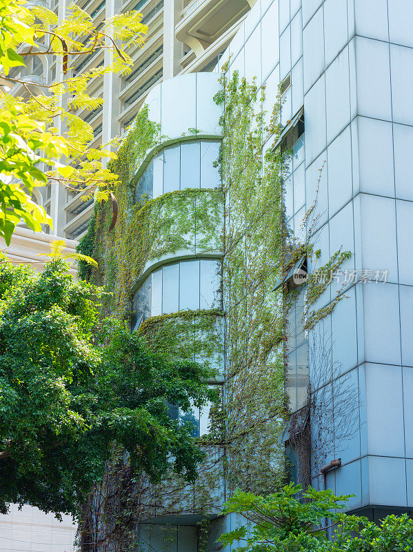 可持续城市、生态城市、可持续生活理念中的建筑特写